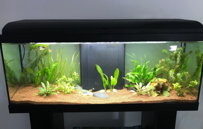 Photographie du post de AS25 