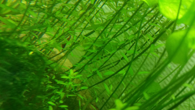 Photographie du post de Mentali 