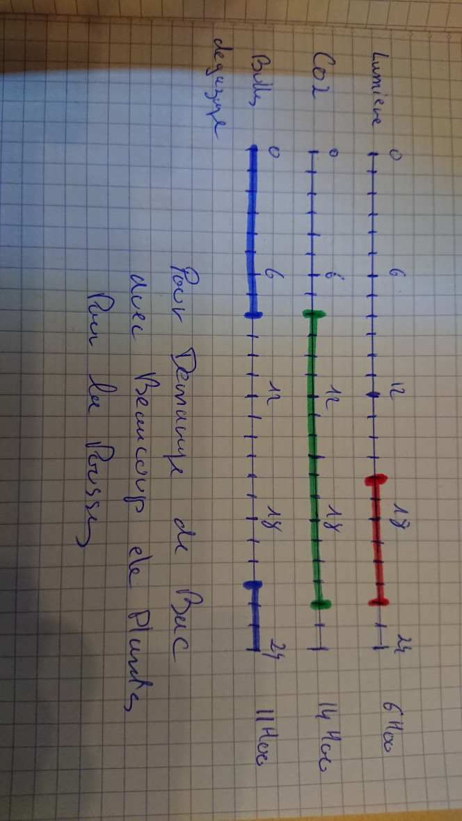 Photographie du post de Gillousdu62 