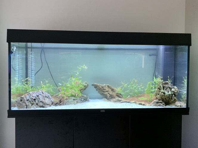 RIO 240 