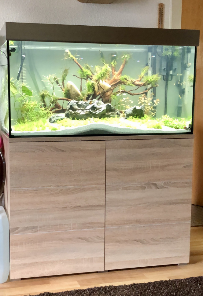 Eheim  Proxima 250L Tout juste mis en eaux!