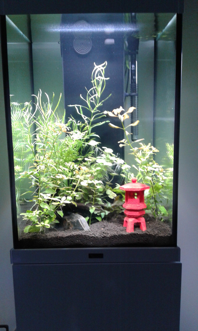 96 LITRES Aquarium en hauteur 
60 cm de profondeur
