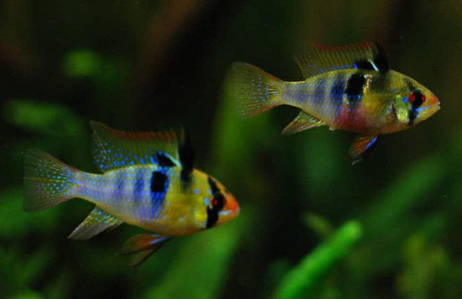 Photographie du post de Gillousdu62 