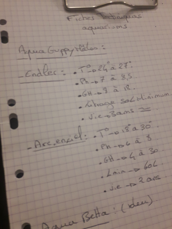 Photographie du post de Lulu82 