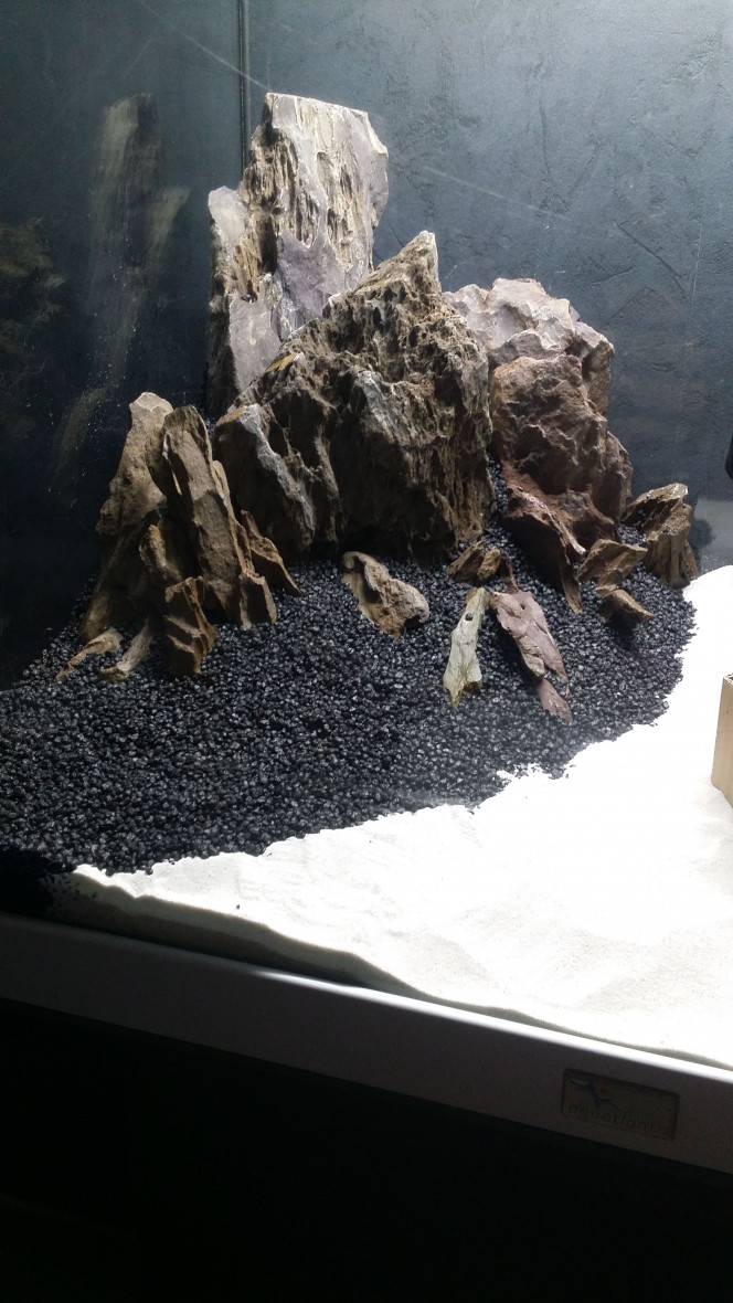 Hardscape Piouhhh ça commence à prendre forme....
Mais qu'est ce que je m'amuse!!!!
Une bonne sique et en avant pour laisser faire mon inspiration :p