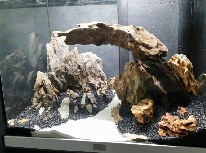 Hardscape.... fini??? Voilà je pense que ça pourrait le faire.
On va laisser à vide 2, 3 jours avant de planter... on ne sait jamais!!! 
Des fois que ça ne me plaise plus lol