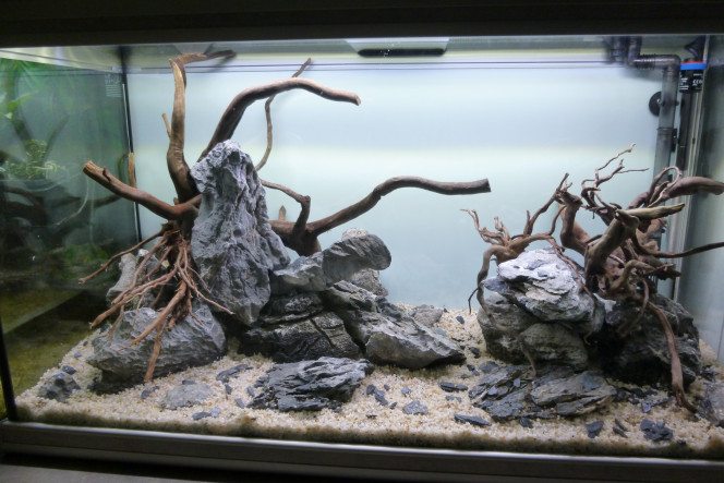 aquatlantis fusion 100 Hardscape avant plantation et mise en eau
