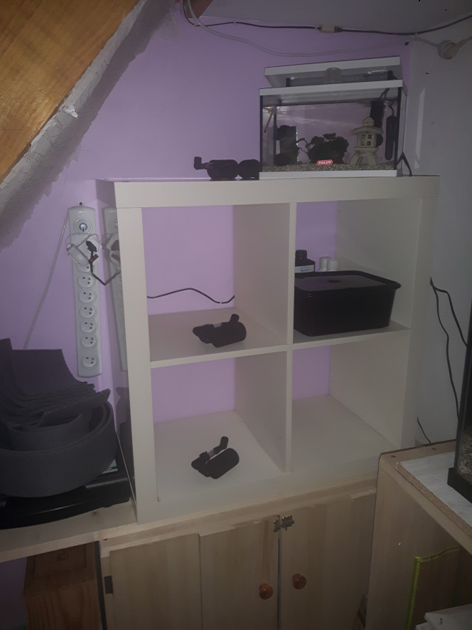Nano élevage guppy et support betta Le projet avance mais pour 2 nano d'élevage guppy et au dessus 2 betta en aquarium complet.
Le projet avance doucement mais sûrement ;)