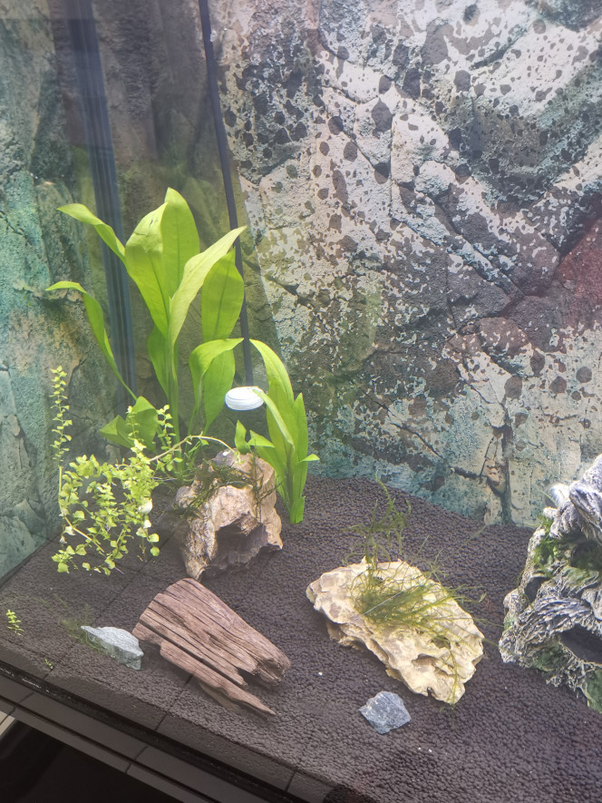  Installation du système CO2...