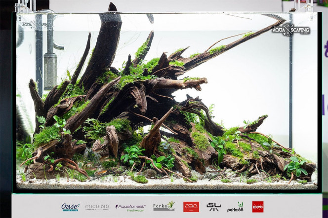 Photographie du post de NakMuay 