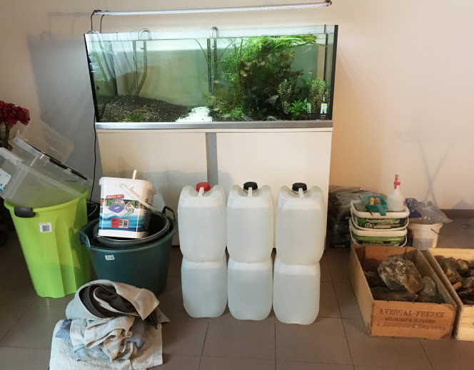 Photographie du post de dolfish 