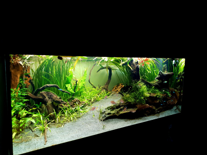 Photographie du post de DamienB 