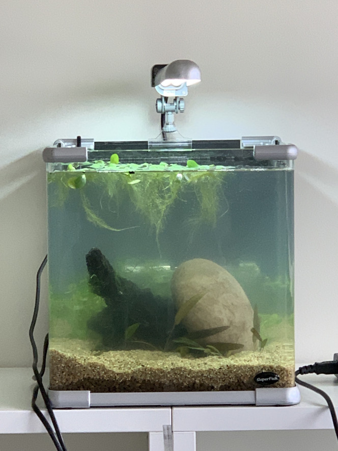  Jour de la mise en eau