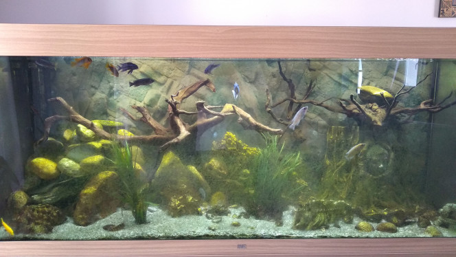 Photographie du post de plouf 