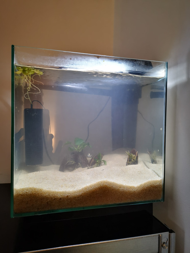 Nano cube 20l En cours