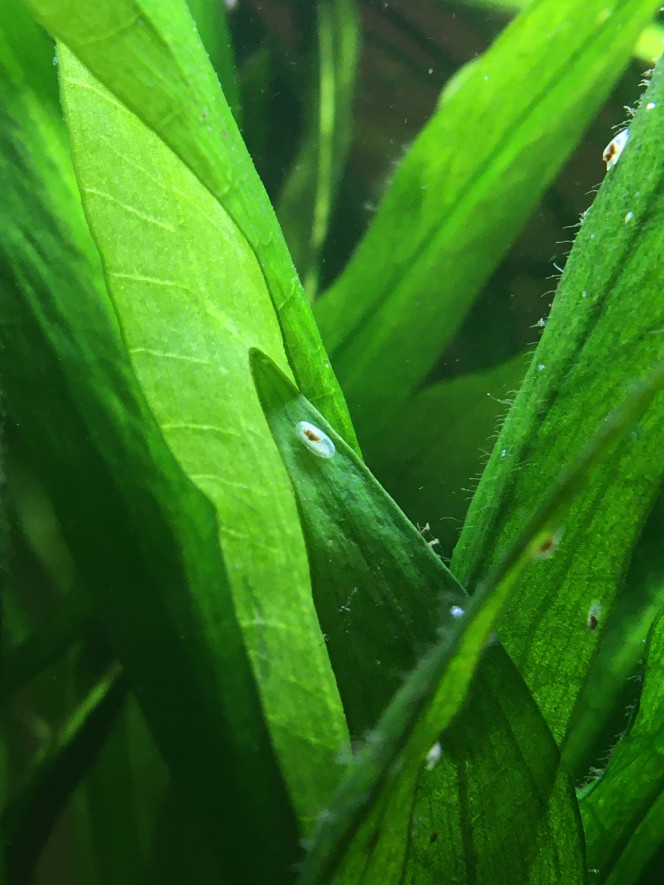 Photographie du post de Lele0808 