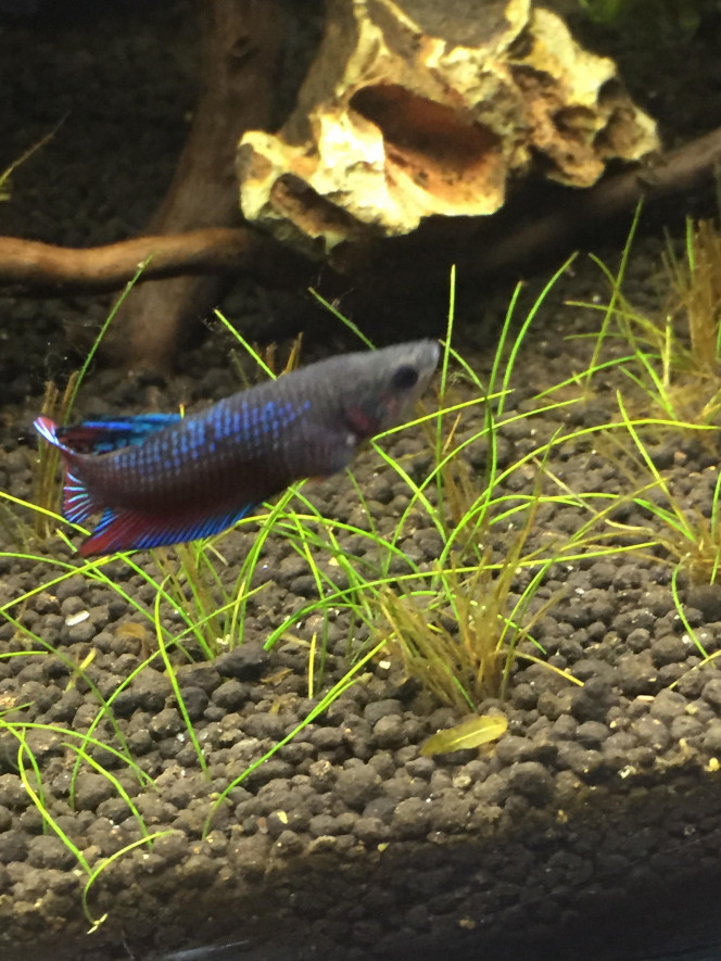 Photographie du post de greg-ktz 