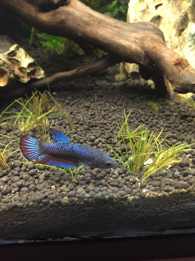 Photographie du post de greg-ktz 