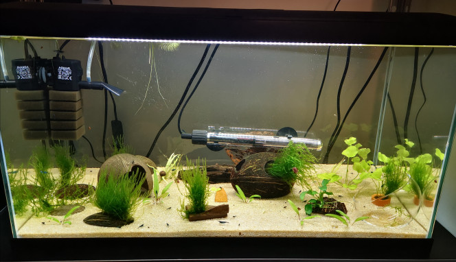  60L Blue Velvet