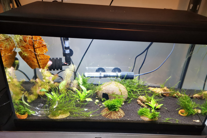  60L CRS
