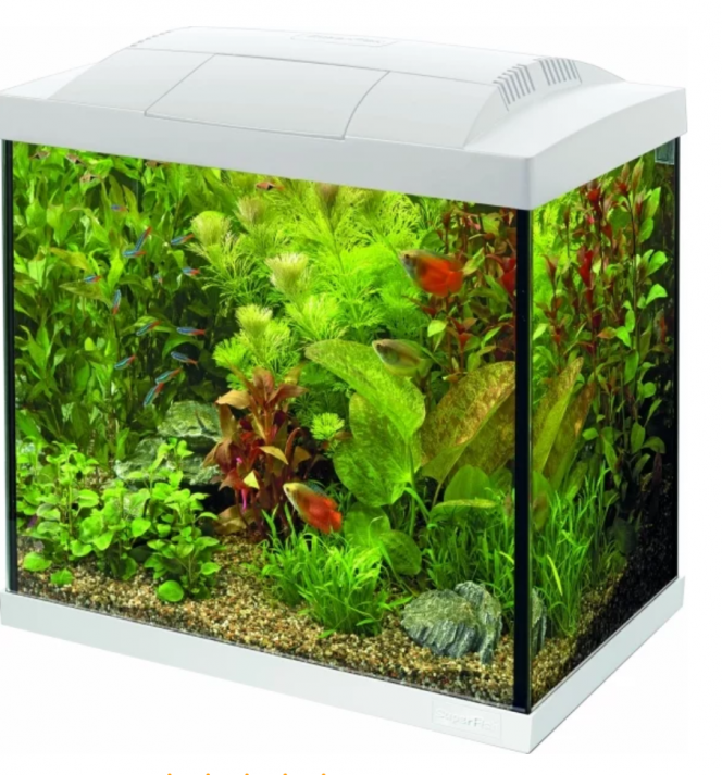  Change aqua superfish 45L il sera mieux la ^^ toujours planter évidemment ;)