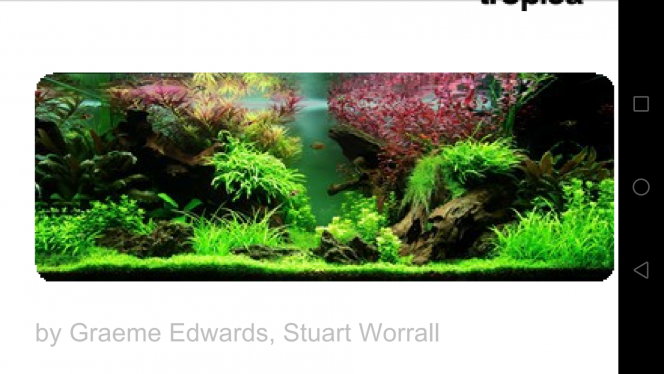 Inspiration Layout de tropica, magnifique