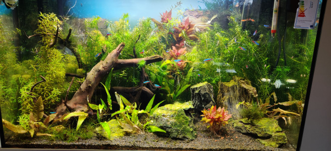Aquatlantis 80 Nouvelle photo