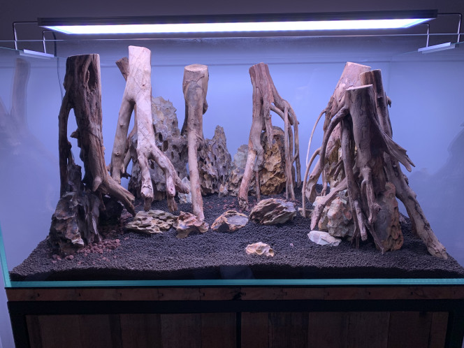 Hardscape Première version du hardscape terminé! 
Je n’ai pas mis tout le sol technique. J’ai encore 3 sacs à mettre pour stabiliser les pierres et accentuer le relief.