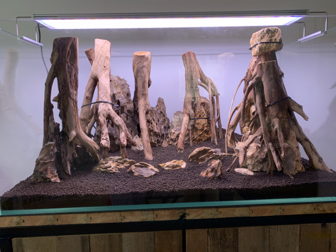 Hardscape terminé Il ne reste plus qu’à planter !