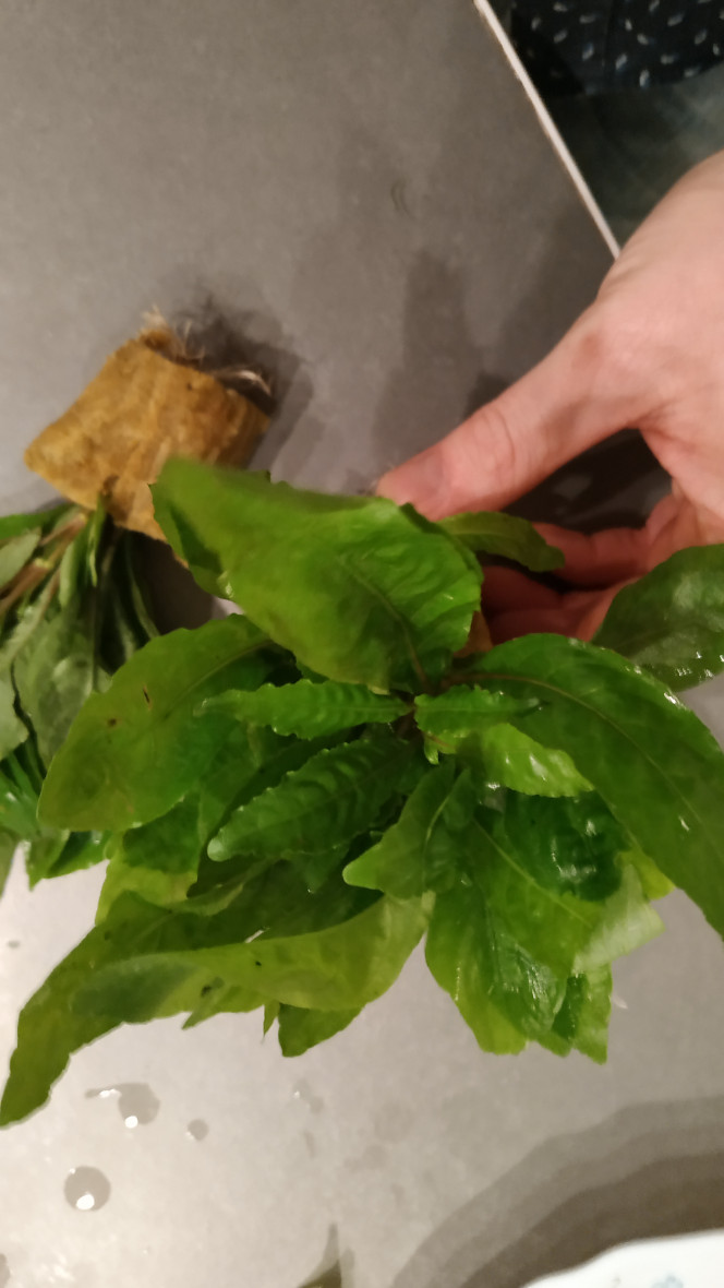 Photographie du post de Nainnouch 