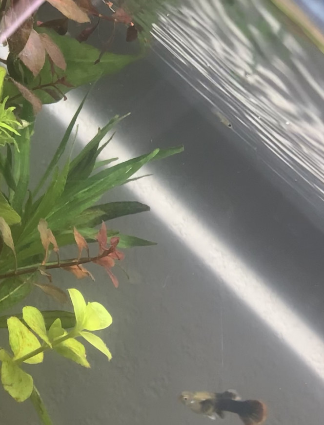 Photographie du post de Marlaamyla 