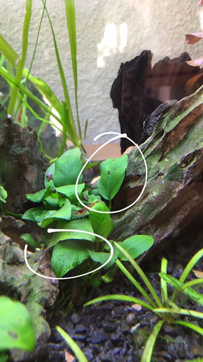 Photographie du post de alexis-lopes 