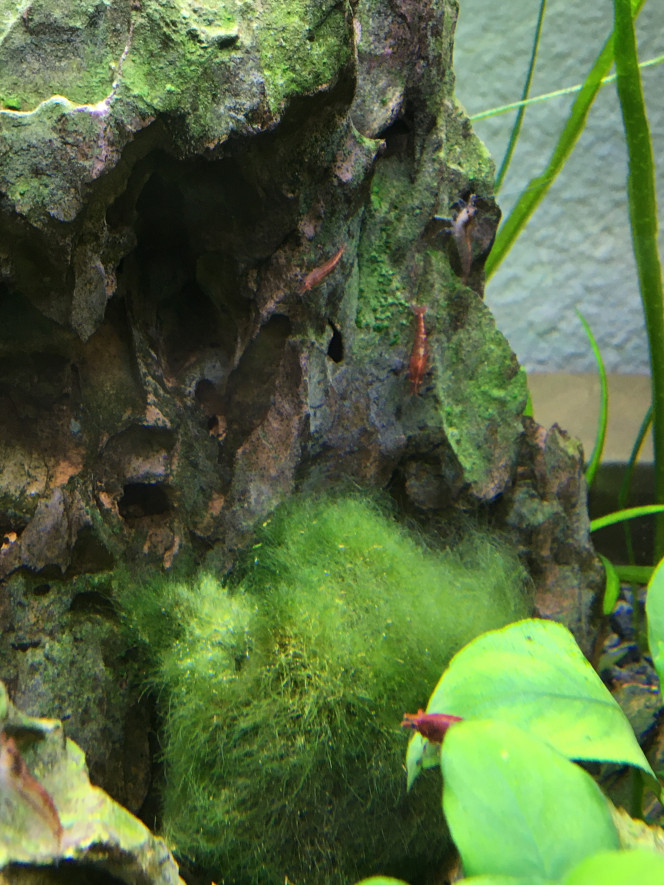 Photographie du post de alexis-lopes 