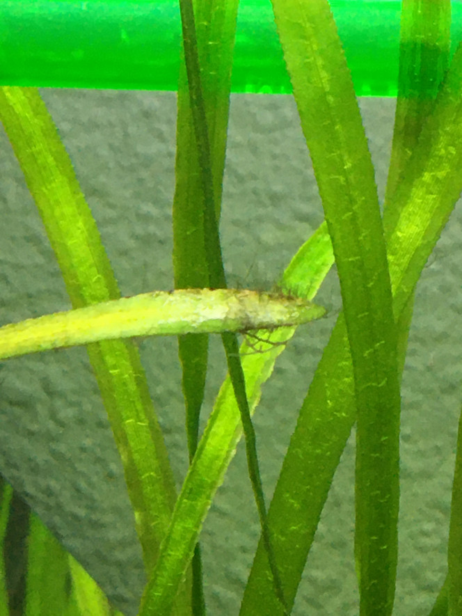 Photographie du post de alexis-lopes 