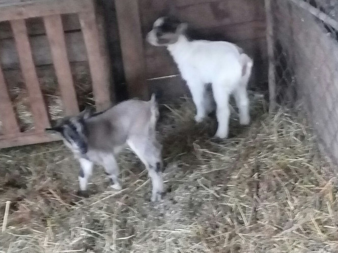 Photographie du post de shanganagh-takhisis 