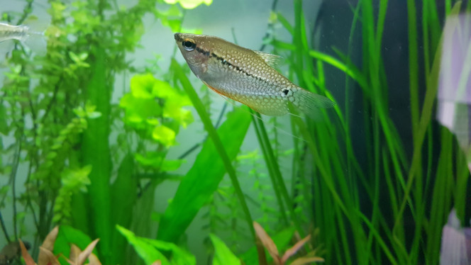 Photographie du post de philippe-vallat 