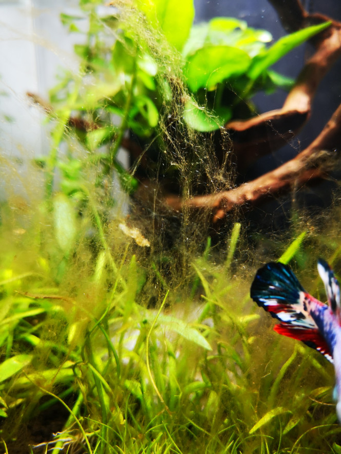 Photographie du post de Fabien_59 