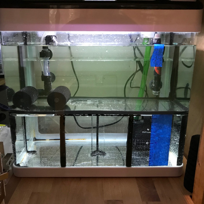 Bac repro/reserve d'eau Je voulais un aquarium aux dimensions specifiques pour tenir dans mon meuble et remplir deux fonctions : une réserve d'eau osmosée d'au moins 25 litres et un bac de repro sur le dessus.
J'ai donc imaginé cette configuration avec un aquarium de 55 litres séparé en deux de manière non conventionnelle avec le bac repro sur pilotis de verre dans la réserve d'eau.