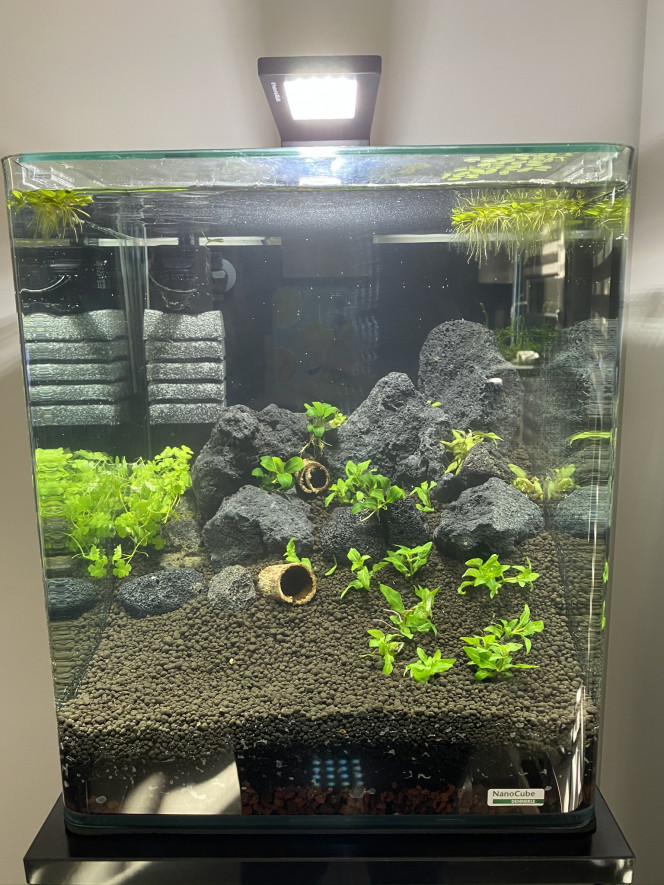 V2 Rescape du Nano
plus qu'a attendre le cyclage