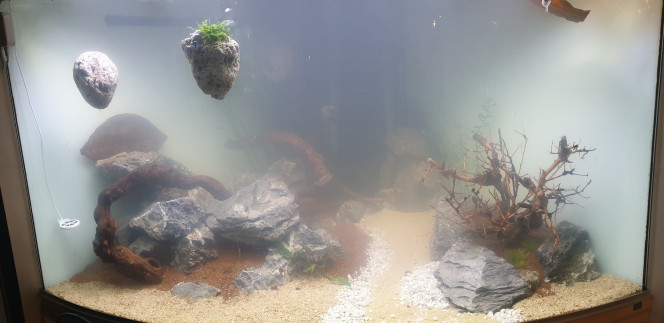 Mise en eaux 