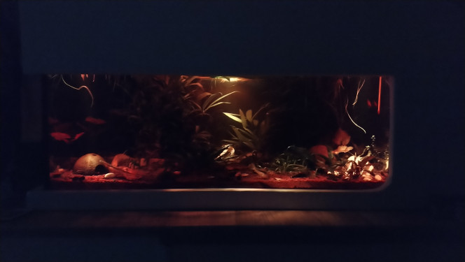  Nouveau éclairage pour l'aquarium effet couché de soleil