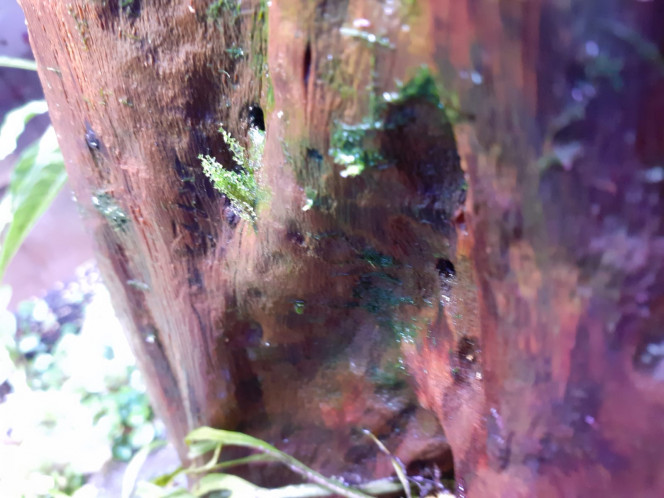 Photographie du post de Loap 