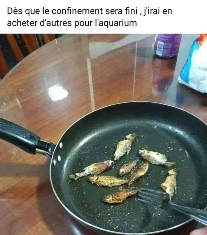 Photographie du post de Dede075 