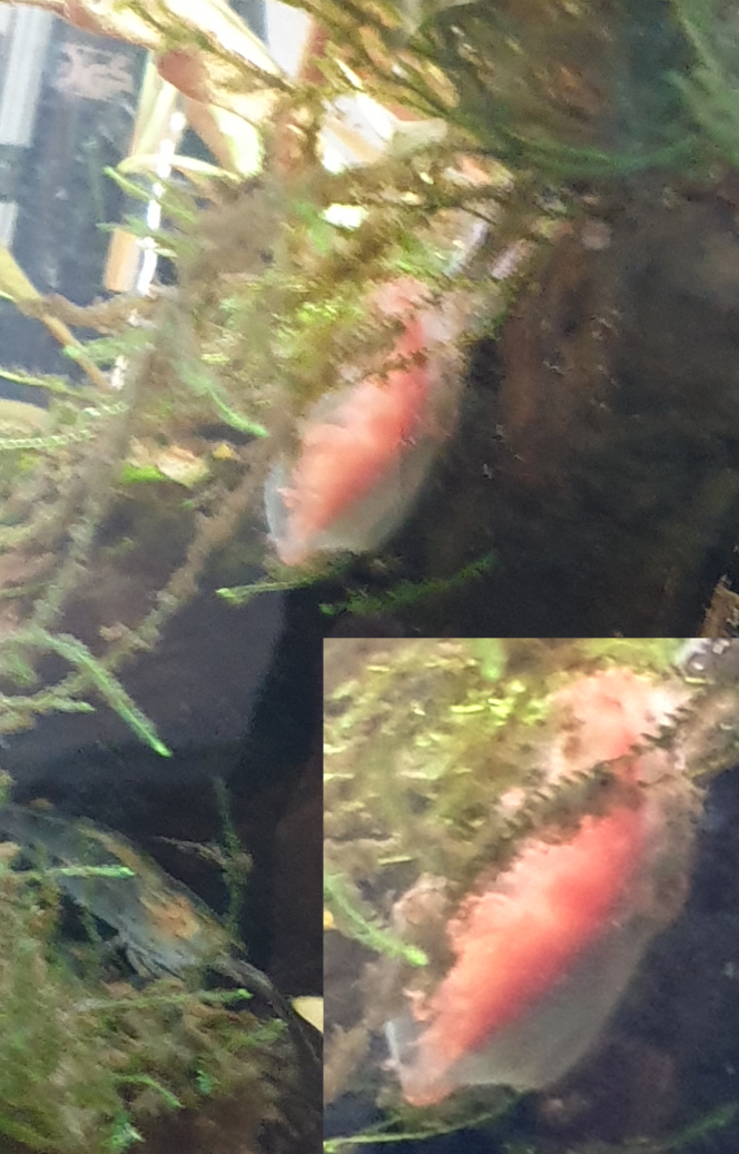 Photographie du post de ManuM 