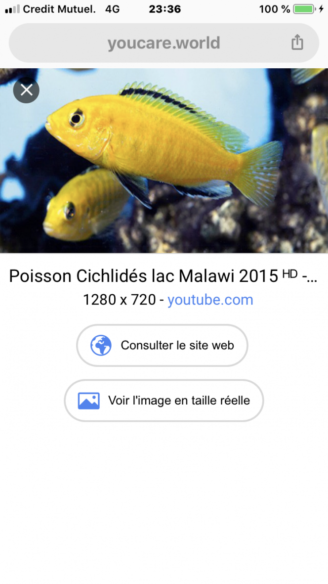 Photographie du post de julie94 