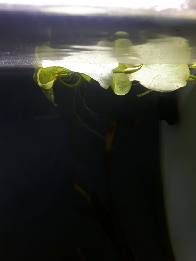 Photographie du post de Lulu82 