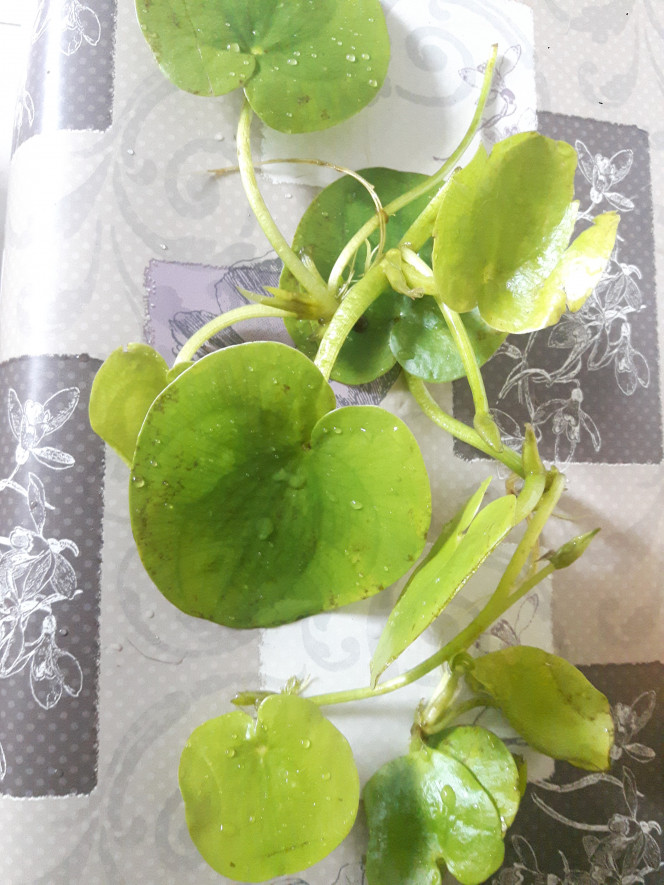 Photographie du post de Lulu82 