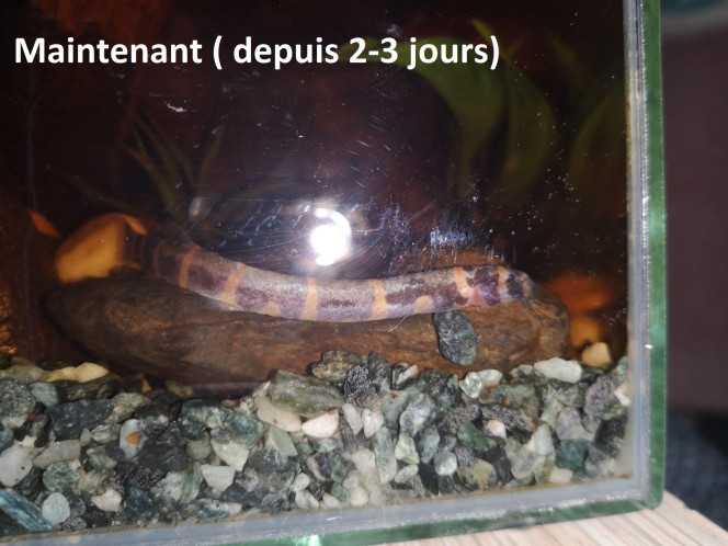 Photographie du post de UnCarlinSauvage 