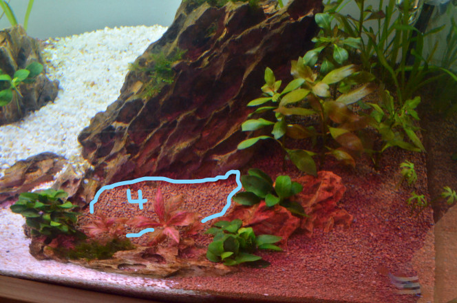 Espace n°4 Espace dédié à l'ajout soit d'un autre buisson type blyxa japonica soit un beau petit buisson d'Hygrophila Corymbosa Mini ou qqch avec un beau vert également mais qui ne camouflera pas non plus toute la pierre..