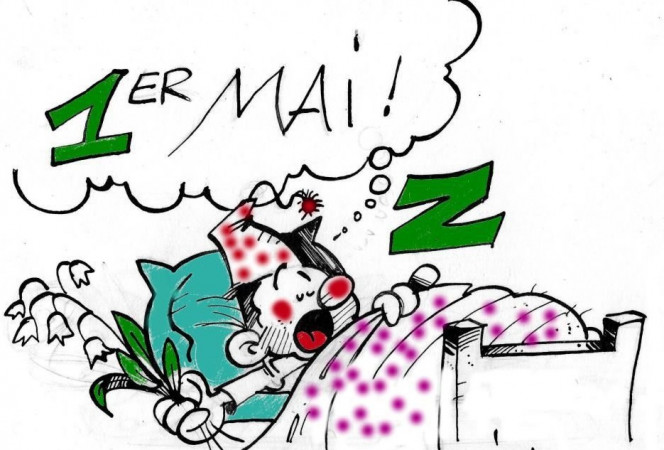 Photographie du post de mmichel20 